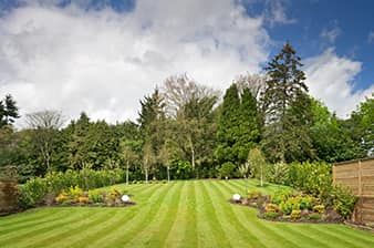 lawn-care-needham
