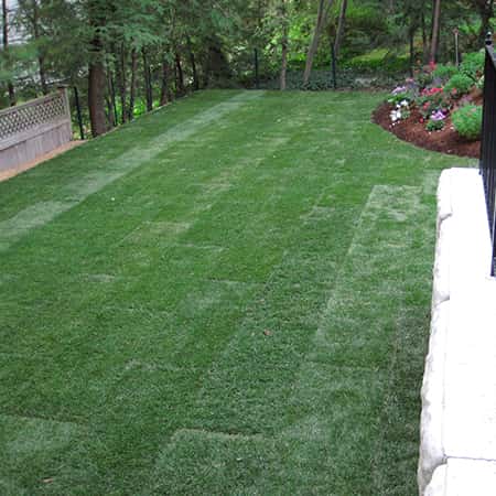 backyard-sodd-installation-needham