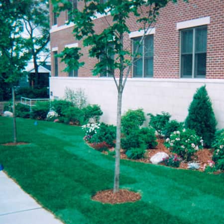 commercial-landscape-design-installer
