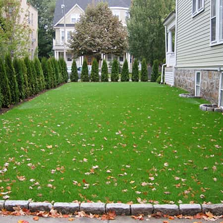 hydroseed-install-needham
