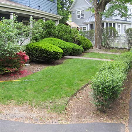 landscape-design-brookline