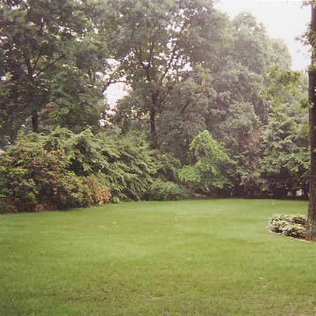 new-lawn-renovation-finished