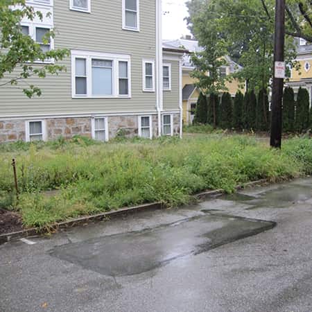 new-lawn-install-needham