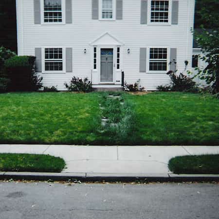 new-lawn-installation-brookline-ma